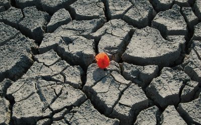 The paradoxes of flourishing
