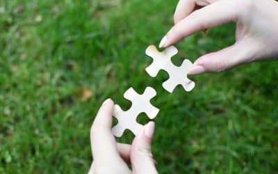 Clinical Observations from an Estrangement Clinician: Observation #4