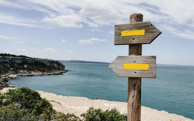 Going Back to Go Forward: Why Recovery from Complex PTSD Requires Revisiting the Unfinished