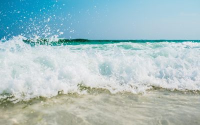 Time to Turn the Tide: Helping Children of Complex Trauma Survivors