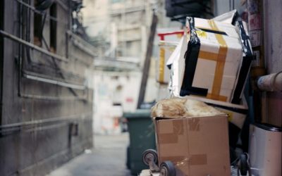 Honesty is not Cruelty: Rejecting the Damaged Goods Label